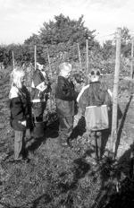 Eine Schulklasse lernt den Weinberg kennen